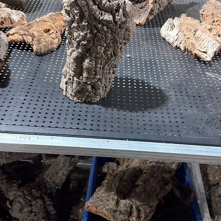 花***少完全开放一物一拍一物一发