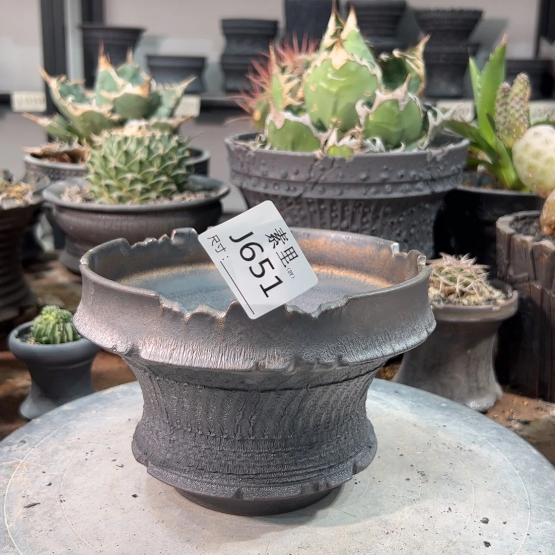 景德镇手工素里内口15.5高11