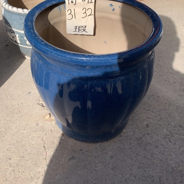 花盆里的花开了吗我的