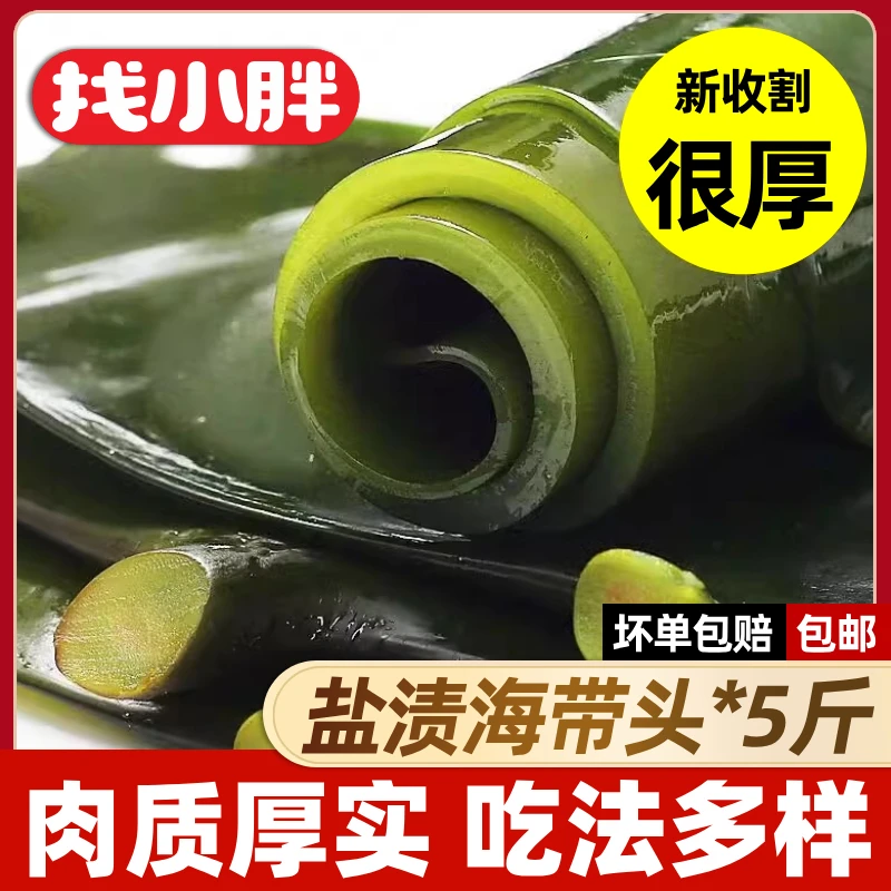 海带头新鲜盐渍海带根厚海带头精选15-25cm 到手净重5斤荣成发货
