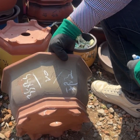 紫砂花盆紫砂花盆盆景盆栽瑕疵