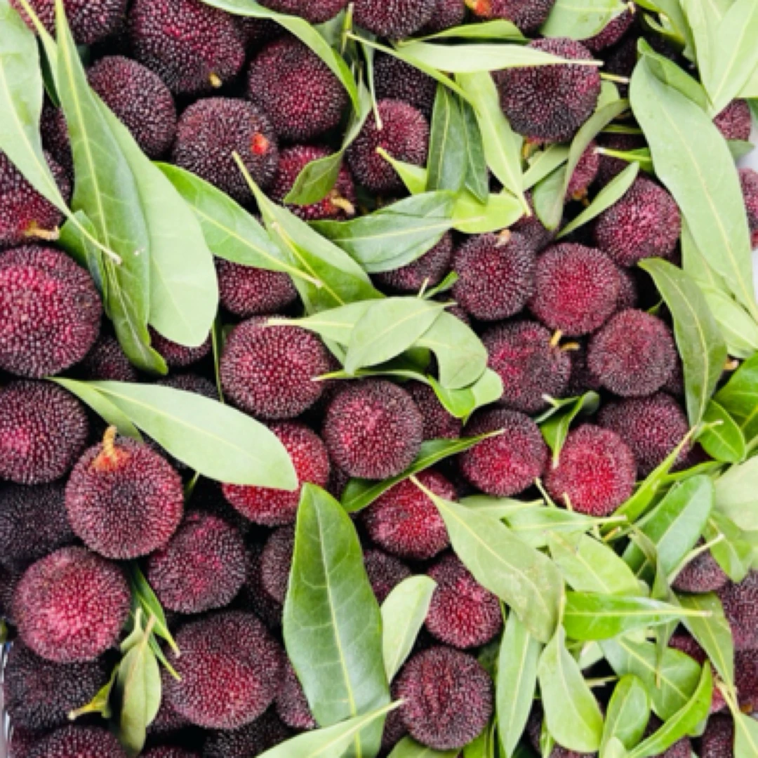 杨梅云南乌梅2斤