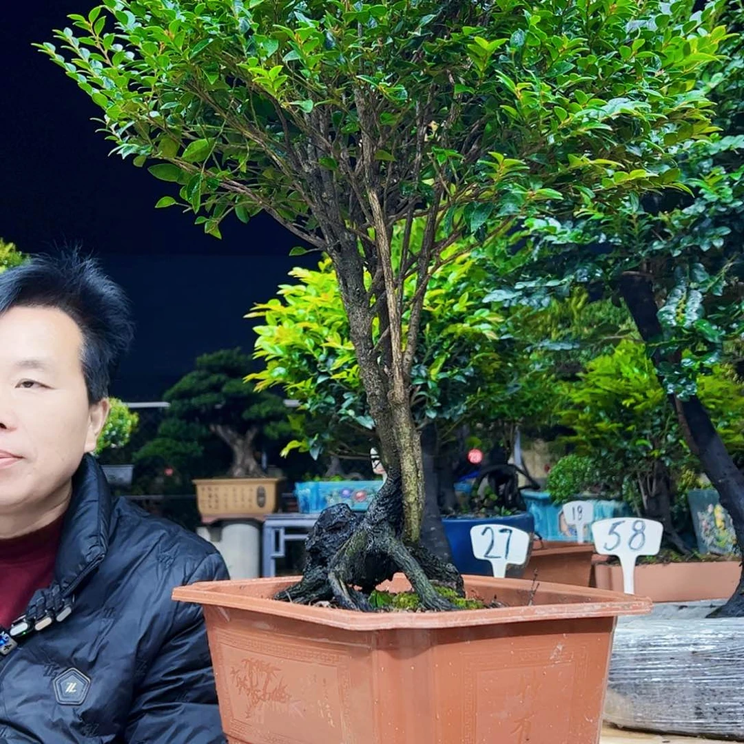 以实际为准无*12345678