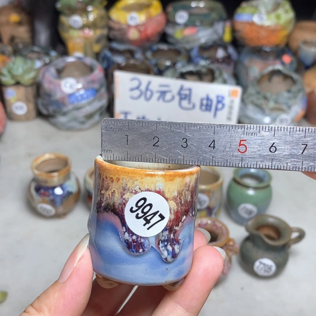 拍5送一个小礼物