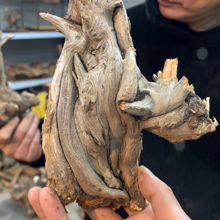 小***渔我们都是好孩子呀