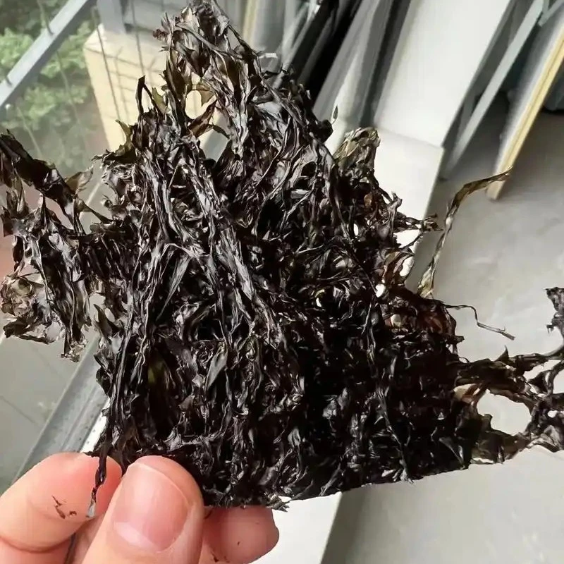 Z霞浦头水紫菜免洗又鲜又香美味可口