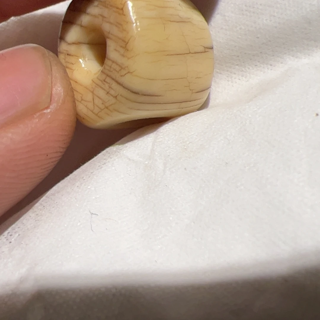 项圈玻璃我是个好