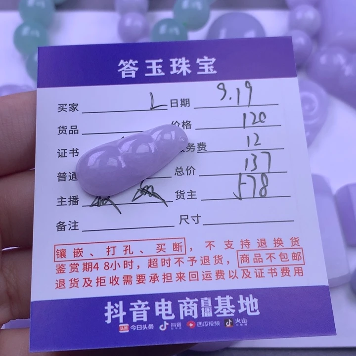 颈饰未镶嵌翡翠L*