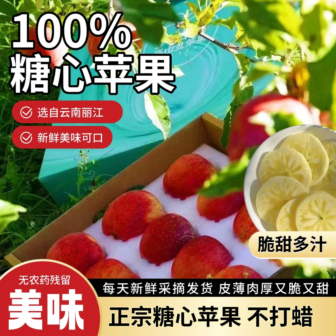 云南丽江宁蒗糖心苹果 现摘先发 脆甜多汁 新鲜水果 源头直发