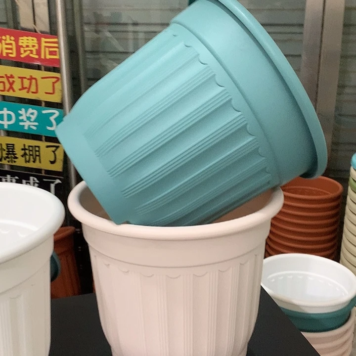 罗马口28高24蓝4个无托