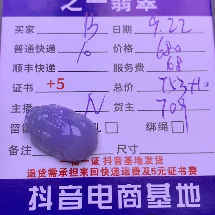 颈饰未镶嵌翡翠B***t