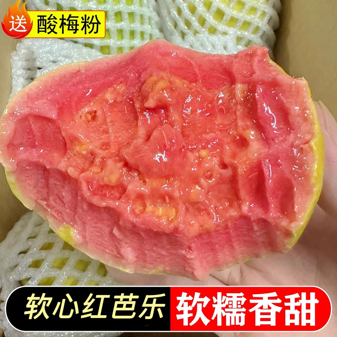 《小军严选》芭乐 红心芭乐芭乐软糯香浓（微软食用） 包邮福建省