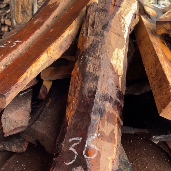 交趾黄檀（大红酸枝）黎**达