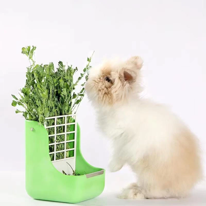 苜蓿宠物干草营养优质苜蓿草兔兔口粮