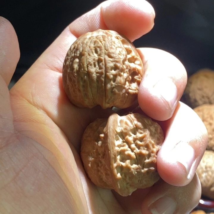 小***凯文玩核桃把件33血麒麟