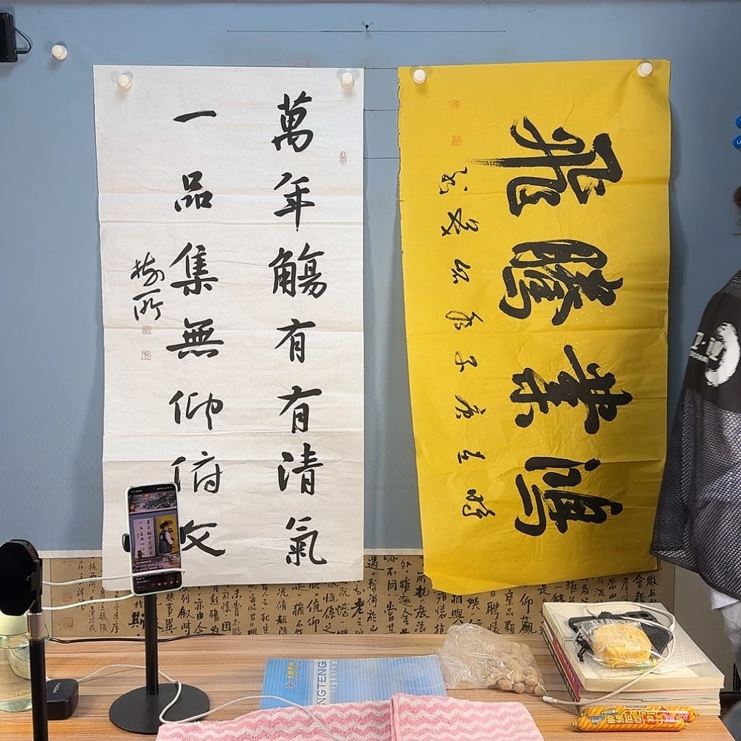 国画787 牡丹仙子