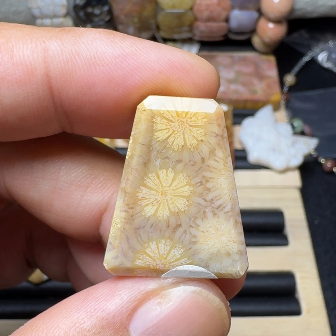 硅化玉未镶嵌纯天然色有机玉石保真色