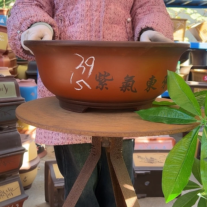 40大红花盆花盆花盆