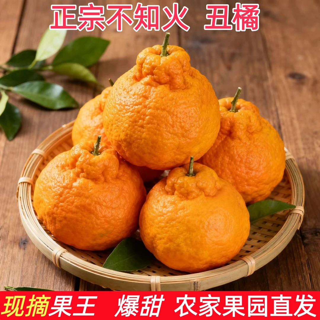 【达人专属】正宗不知火丑橘粑粑柑新鲜应季多汁酸甜个大饱满水果