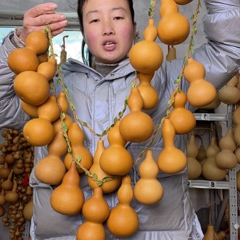 天然植物葫芦文玩
