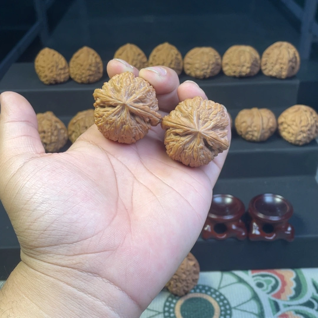 蛟龙全品无修41尺