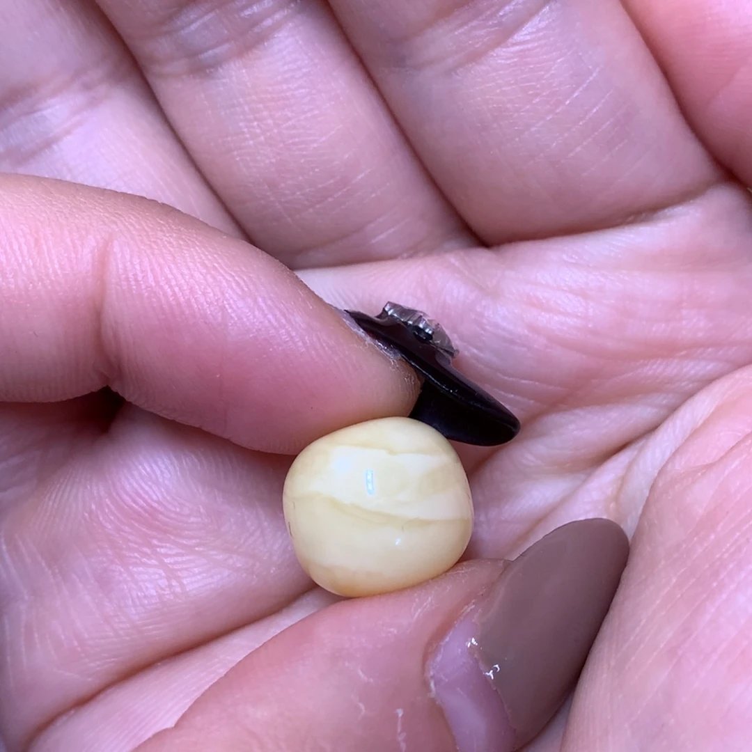 琥珀未镶嵌裸石蜜蜡13