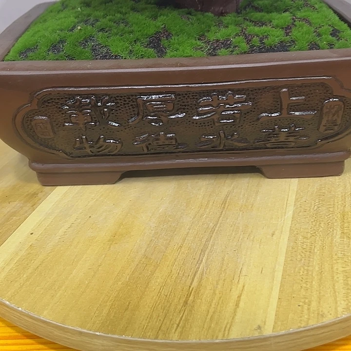 全部花朵88888888888888888