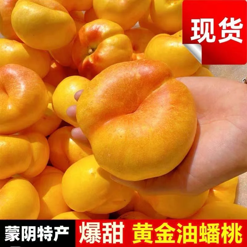 现货黄金油蟠桃新鲜水果当季产地直发黄油桃蟠桃无毛黄心扁桃