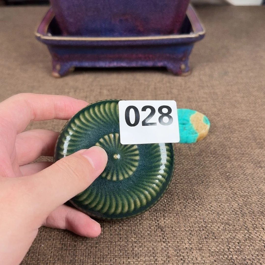 瓷片瓷片888888888888888