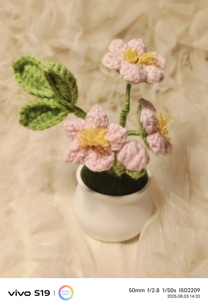 纯手工毛线钩织工艺品花卉盆栽成品#精品钩织