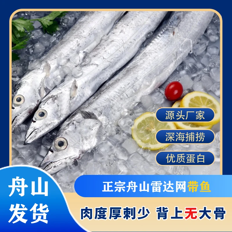 舟山东海大带鱼糯软美味冰鲜深海小眼带鱼鲜食新鲜鲜活顺丰包邮