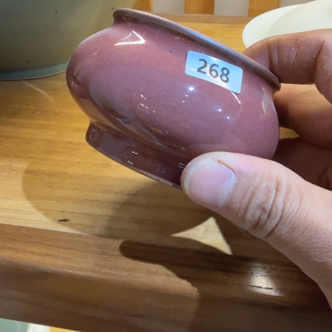 豇豆红喜欢的可以拍谢谢