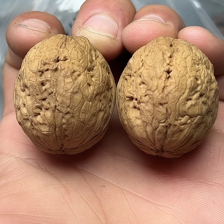 把件文玩核桃64号滑皮元宝39尺