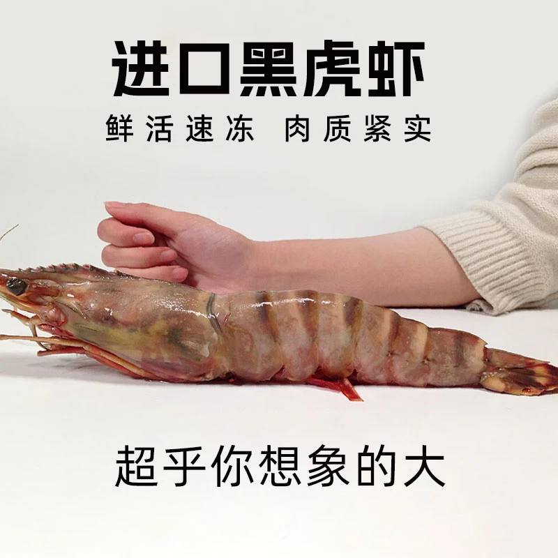 吉多顺 超大黑虎虾 鲜冻巨型大虾 金刚虾 黑虎虾1头装