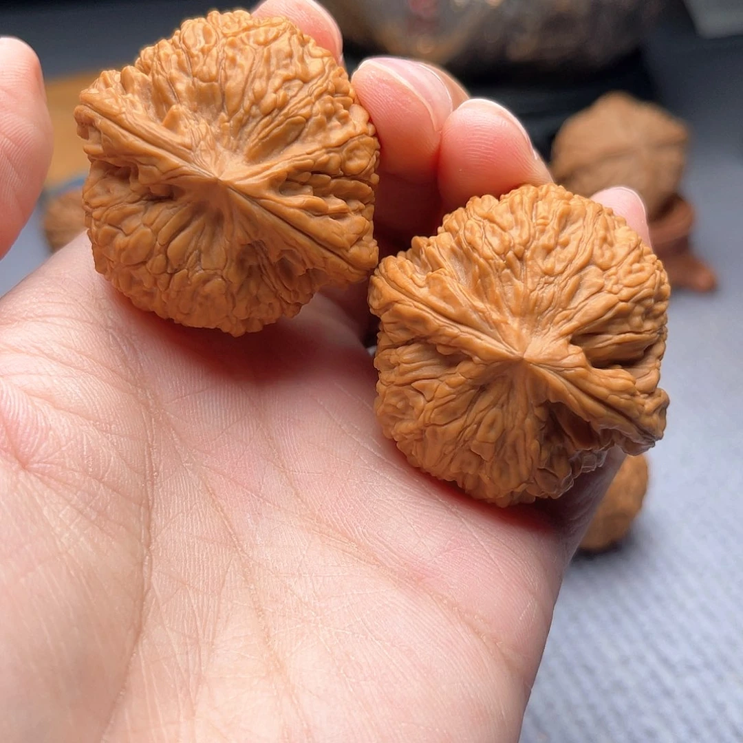 桃核吊坠蛟龙41尺全品X-050