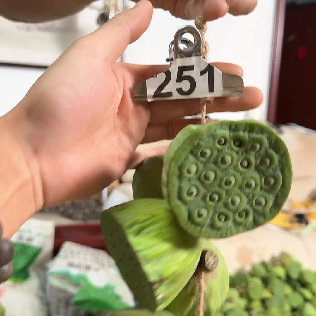 瑞***画鲜莲蓬大的22个小的26个