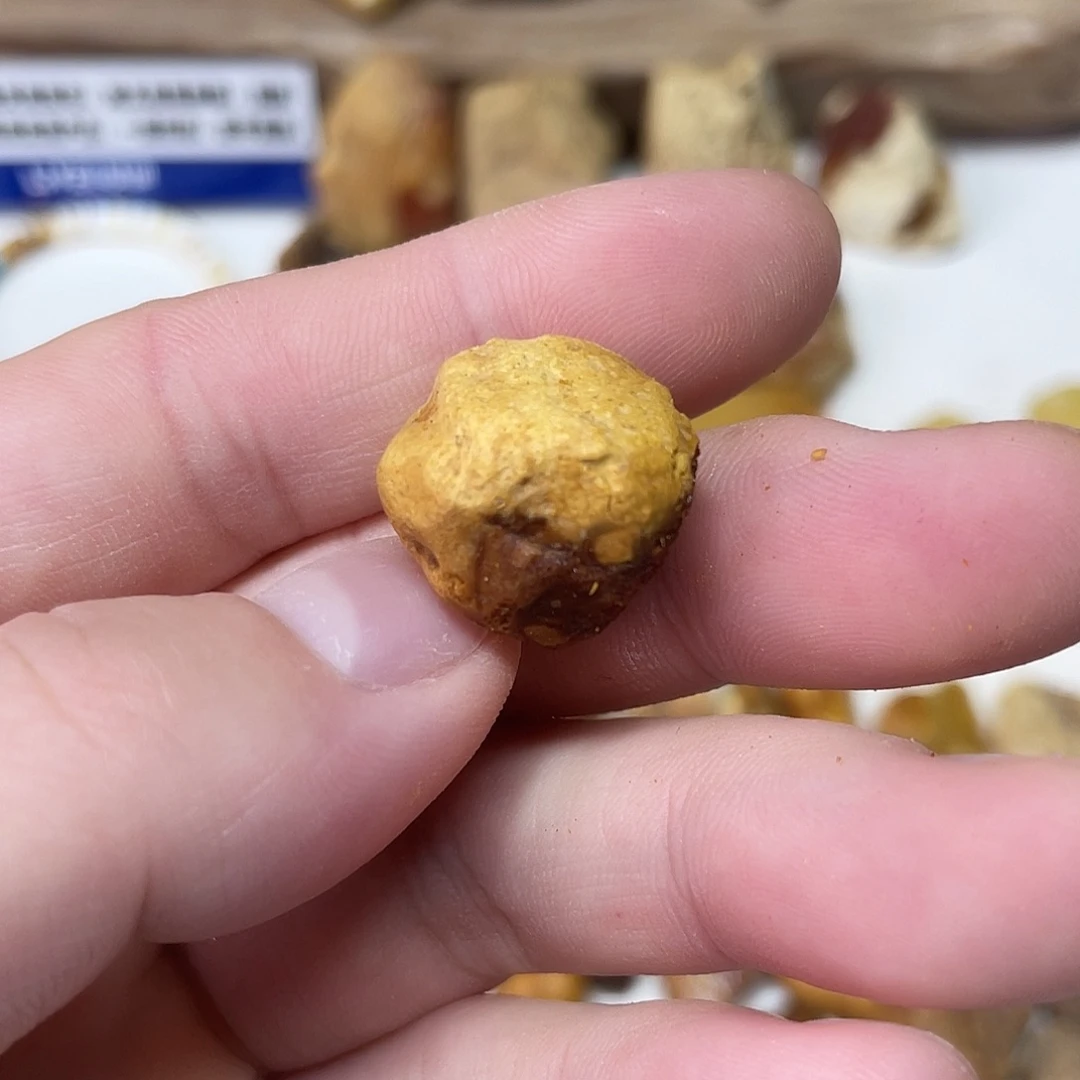 定制琥珀未镶嵌嗨***年原矿蜜蜡