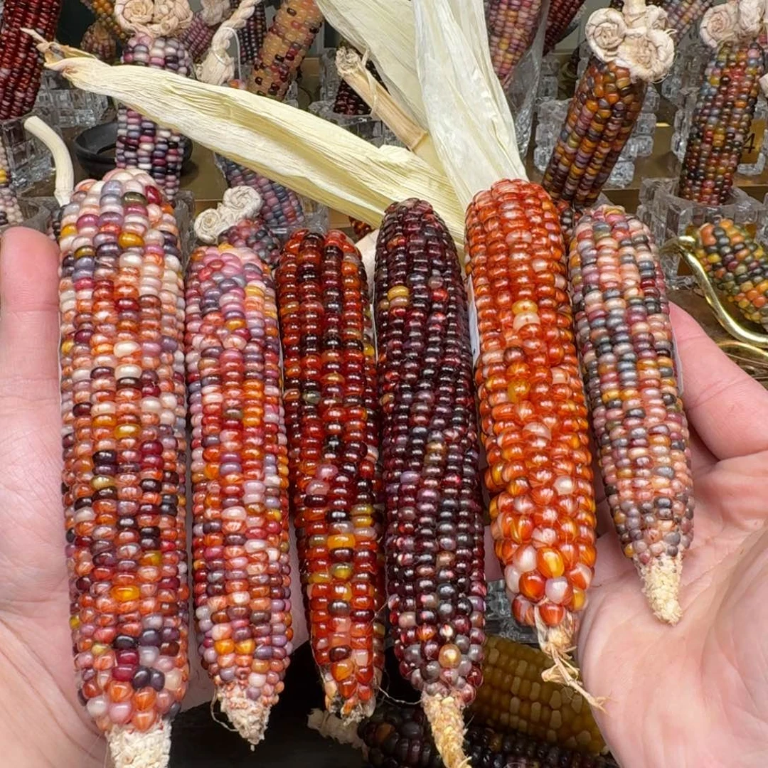 柏香籽/百香籽吊坠l*n