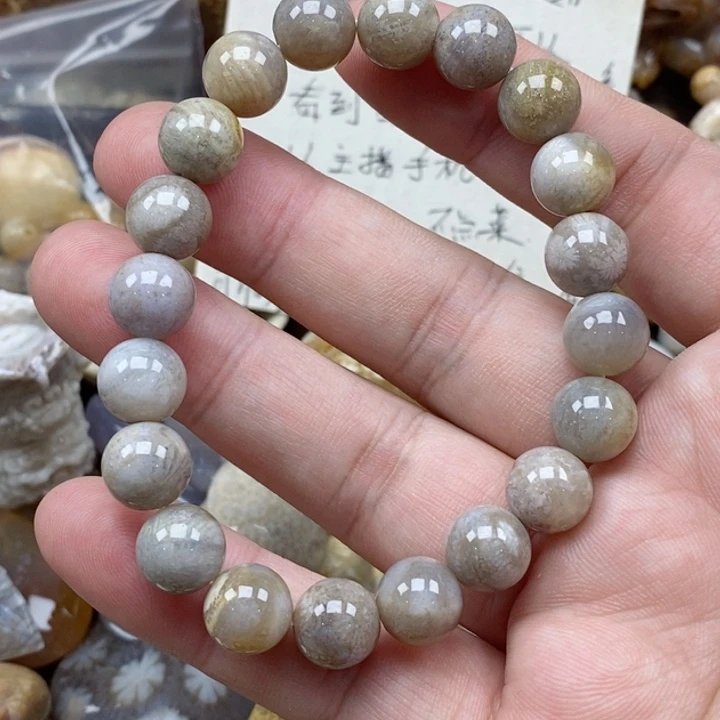 硅化珊瑚（珊瑚玉）未镶嵌颈饰