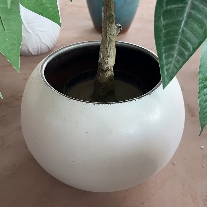 口径18高度22花盆白色球球
