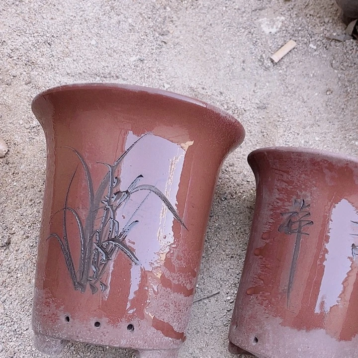 紫砂兰花盆2倨傲花哦