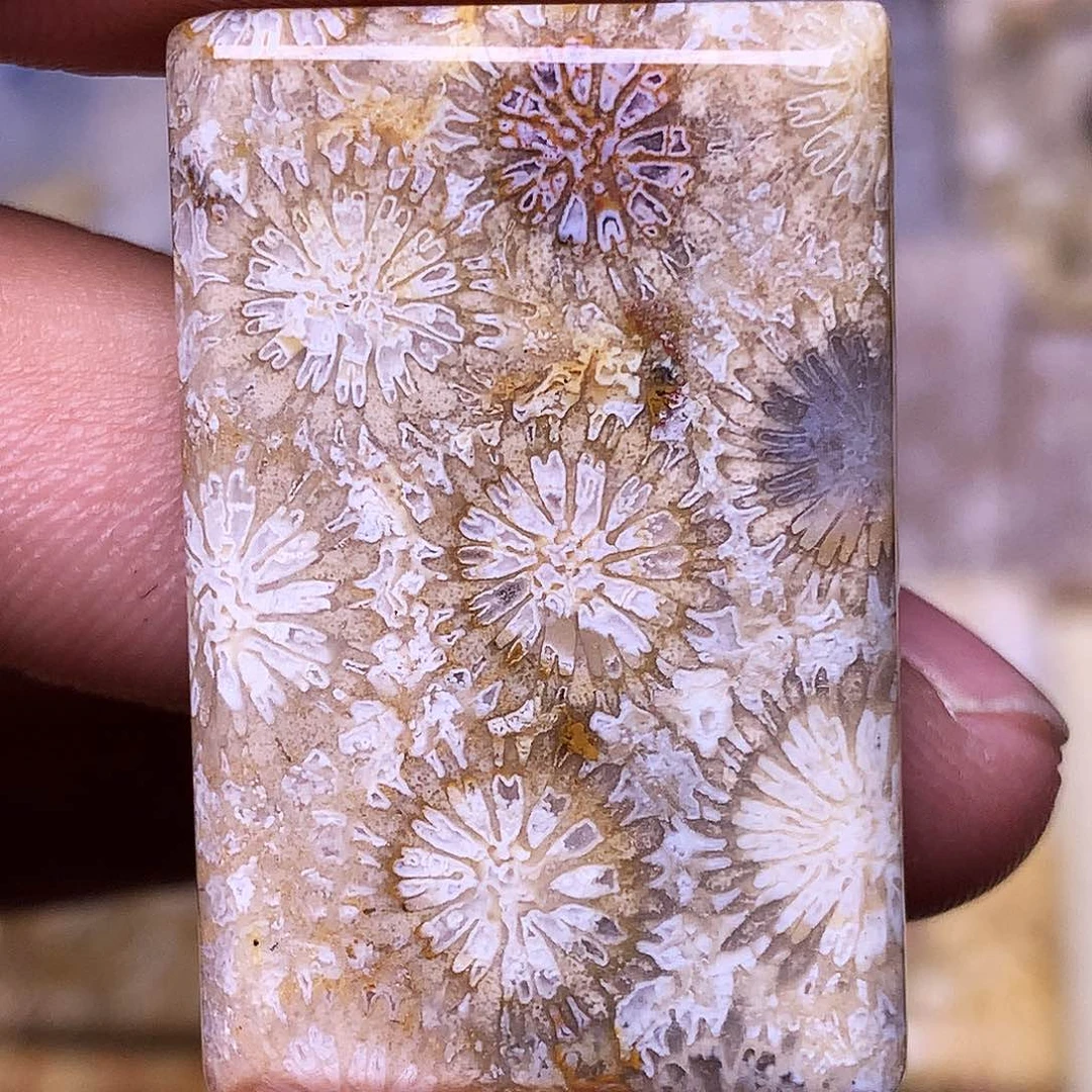 硅化玉珠宝奇石合金❄️****