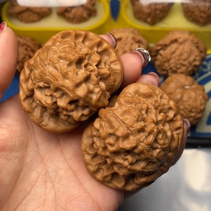 吊坠桃核龙鼎54全品