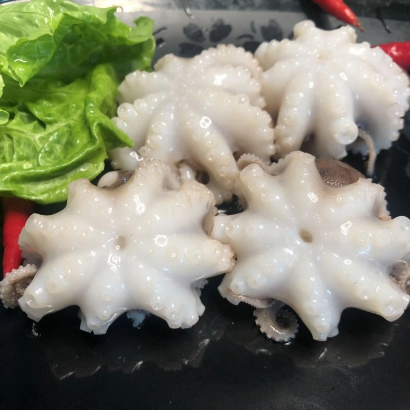 连云港发货  短腿八爪鱼 美味海鲜  2斤/4斤