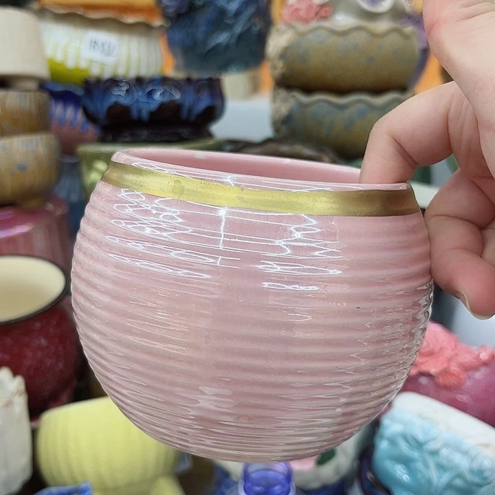 多肉植物陶瓷花瓶