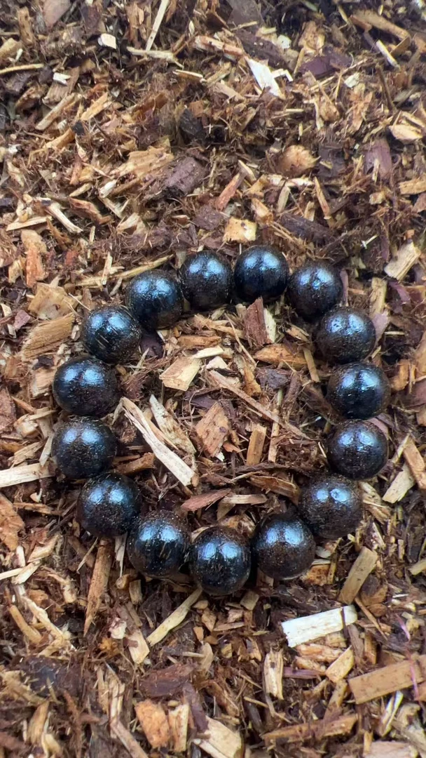 沉香a12福来精选高端文玩手串