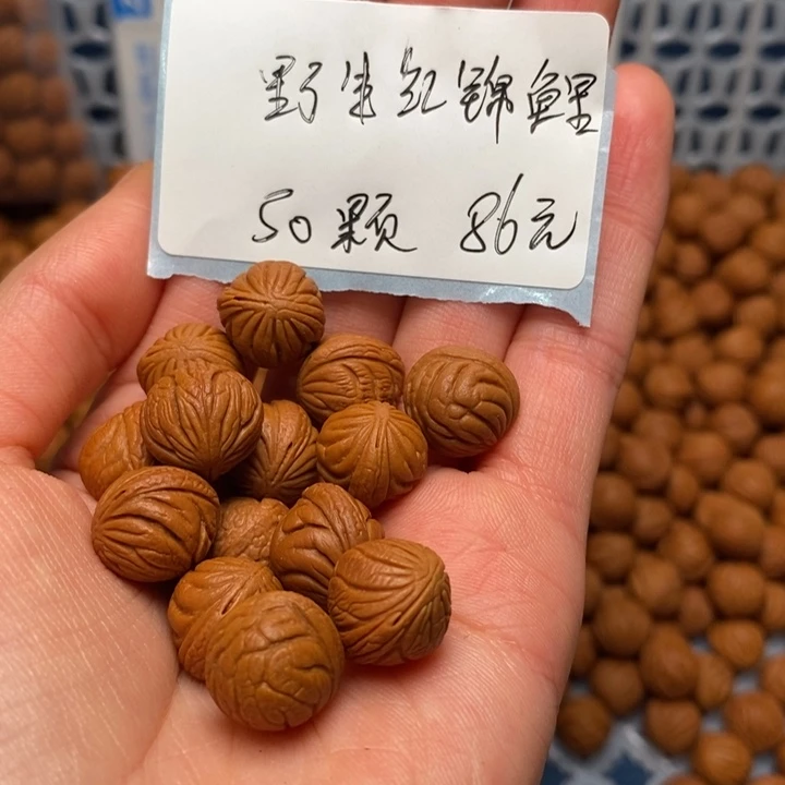 桃核手串12尺寸左右野生红锦鲤打好底打孔带绳50颗