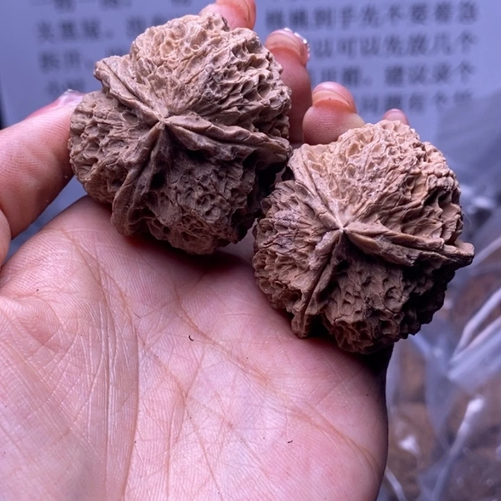 核桃云南野生铁核桃115号41mm