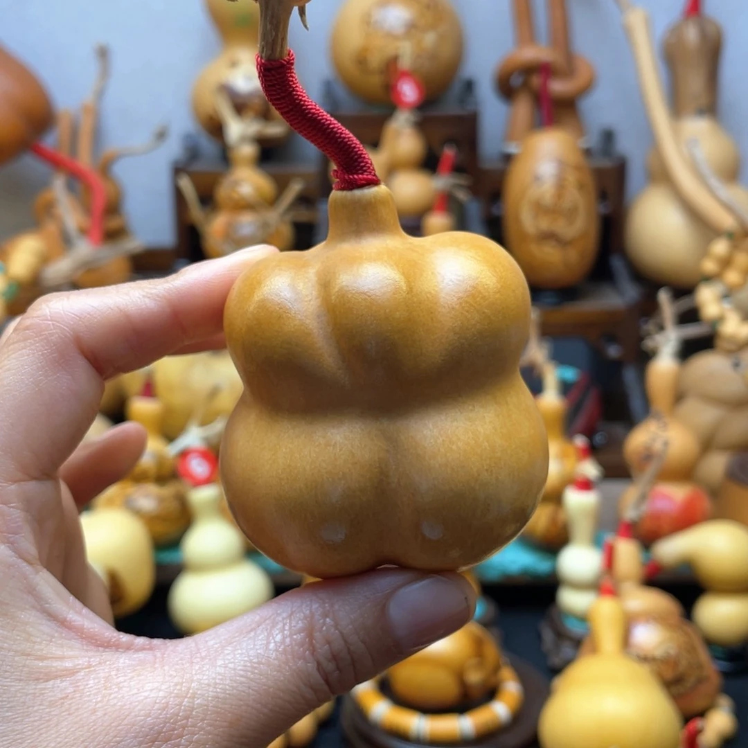 赵****d大自然的秘密第十一节的故事