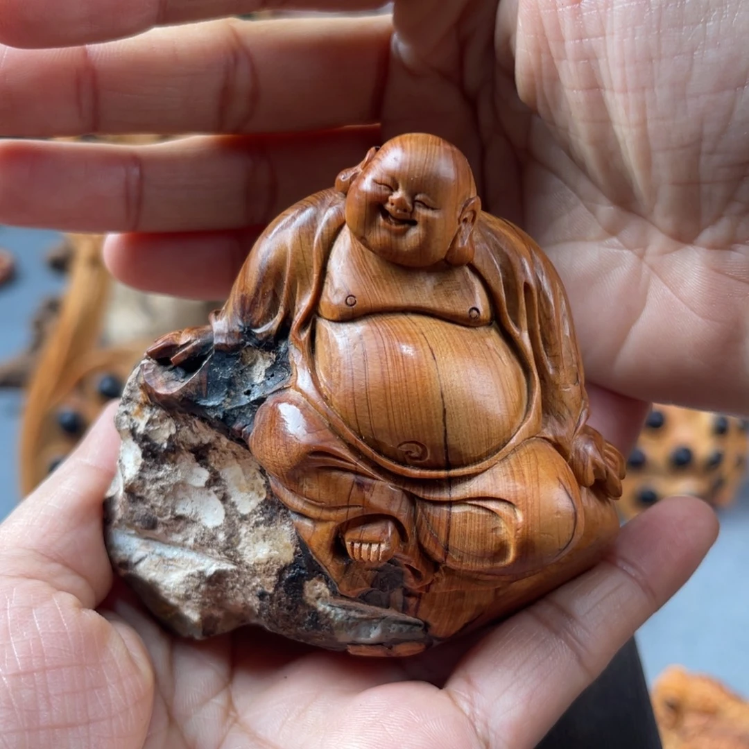 柏木(崖柏)崖柏太行山脉